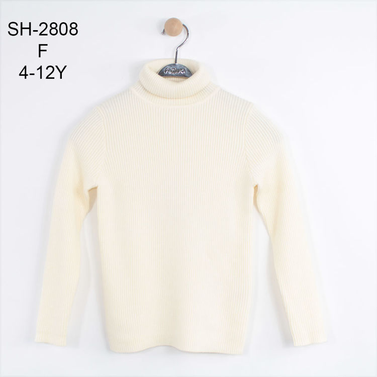 Picture of SH2808P -  FASHION TURTLENECK EXTRA SOFT MATERIAL AND THICK
